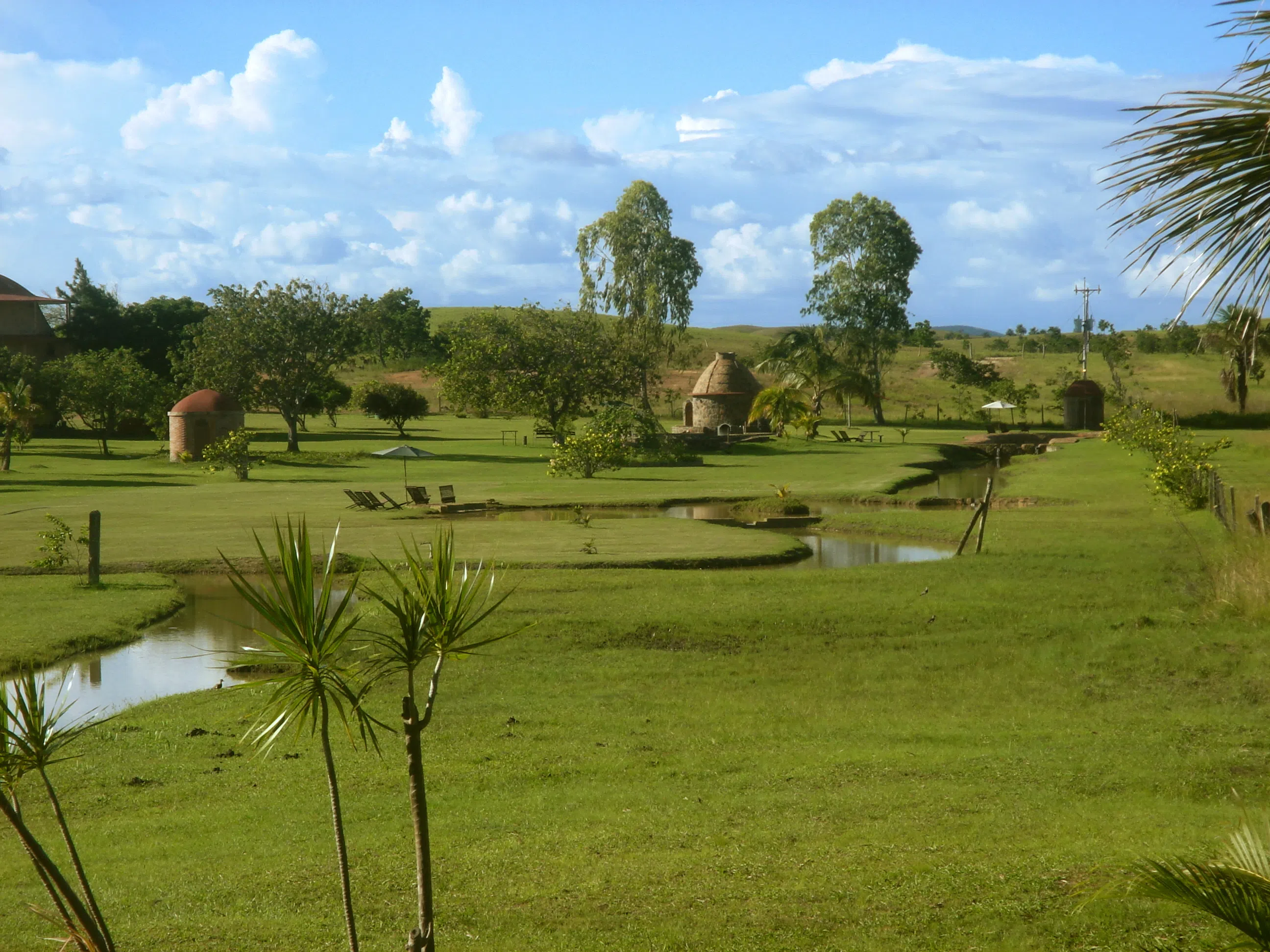 Piso verde