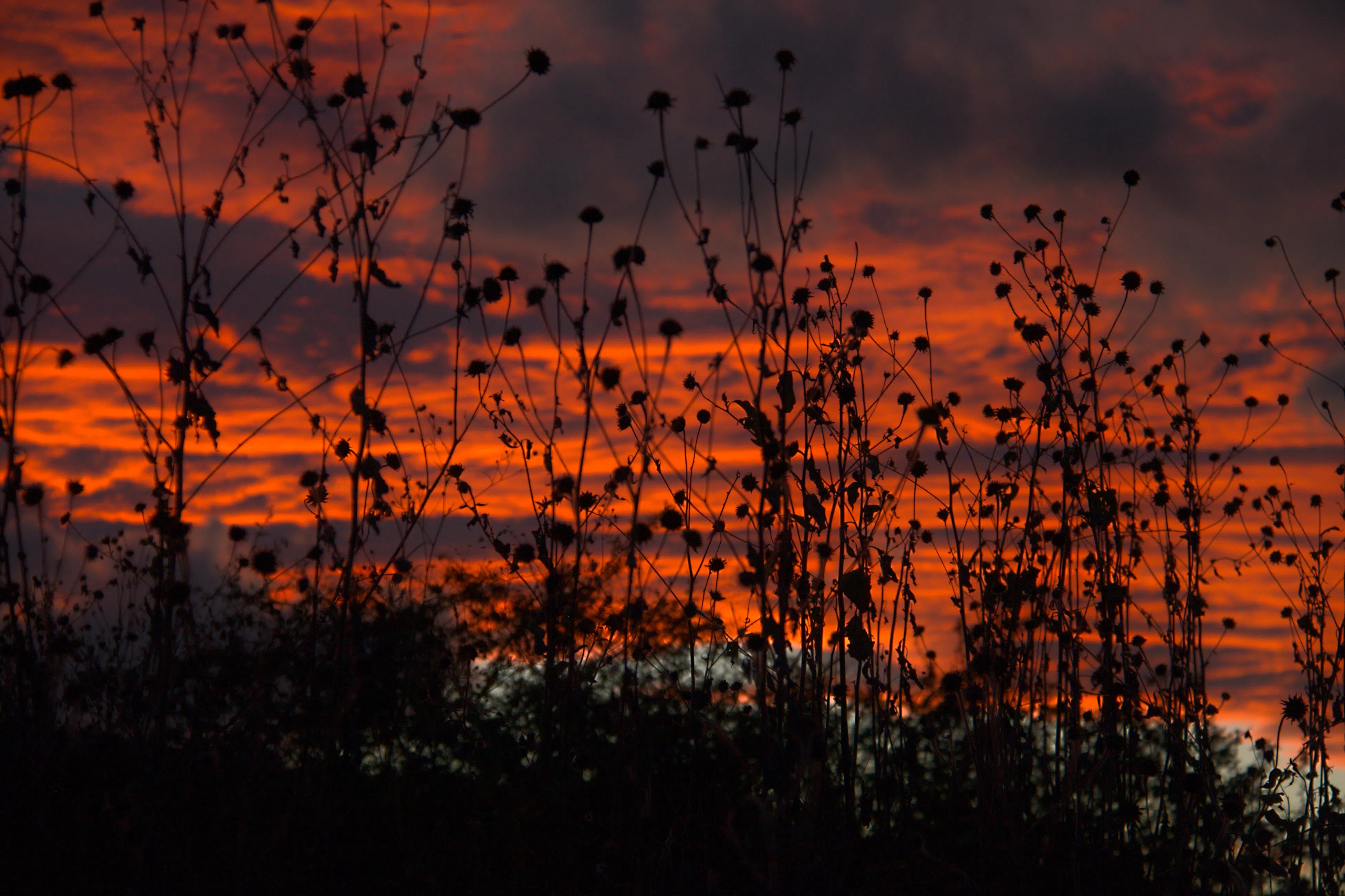 Ocaso rojo sobre Atotonilquillo