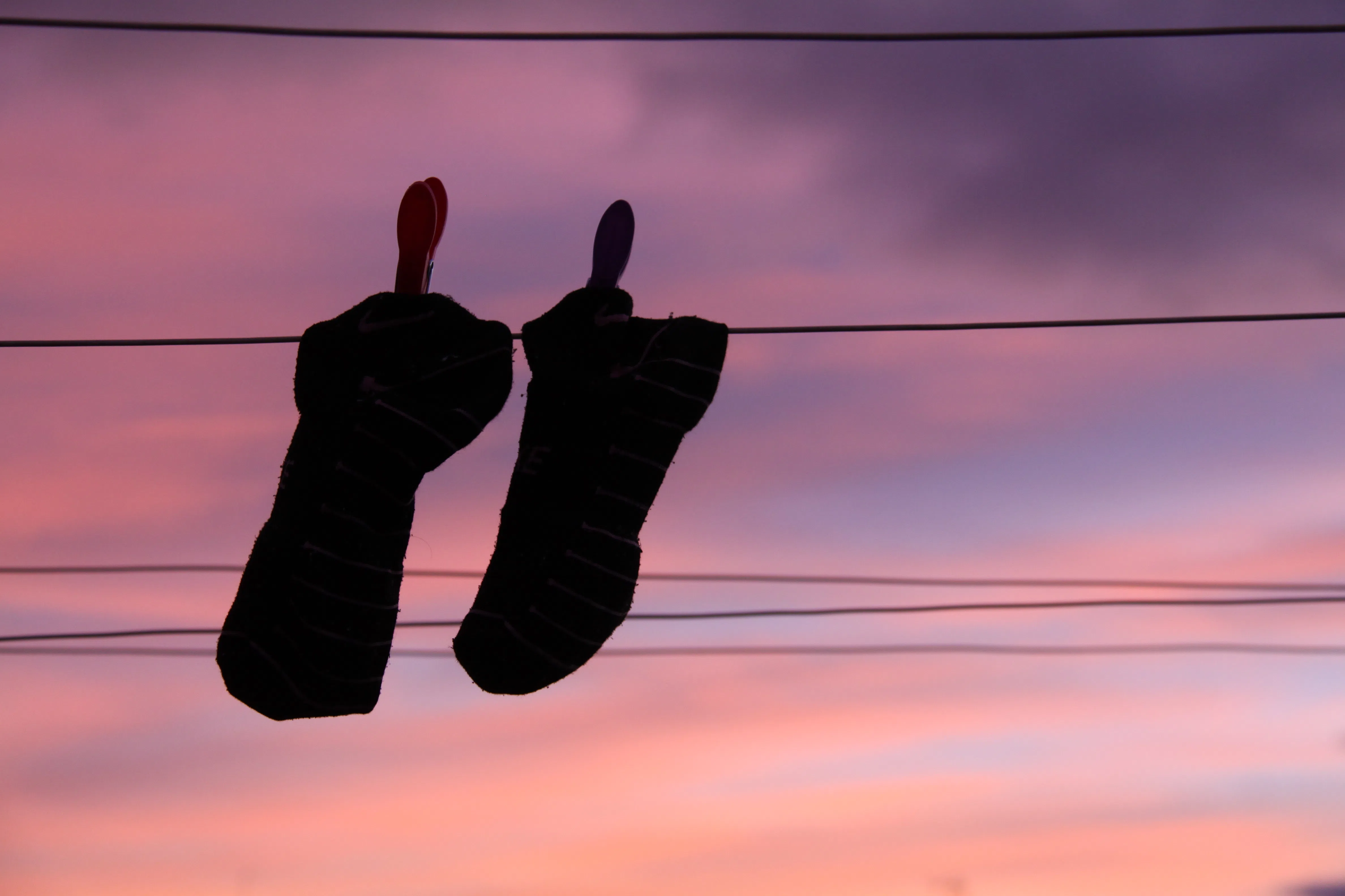 Colgadas al atardecer